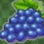 Royal Crown Grapes